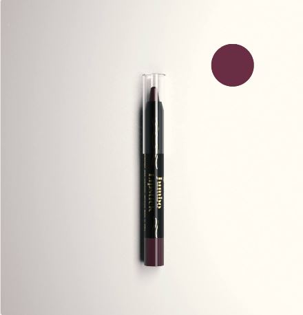 Crayon Rouge à Lèvres Lipstick 2,8g