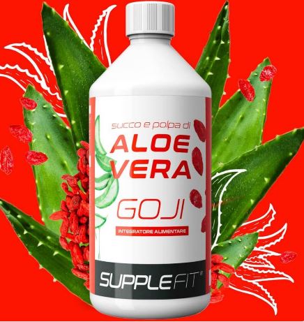 Jus Et Pulpe D’aloe Vera Avec Du Goji